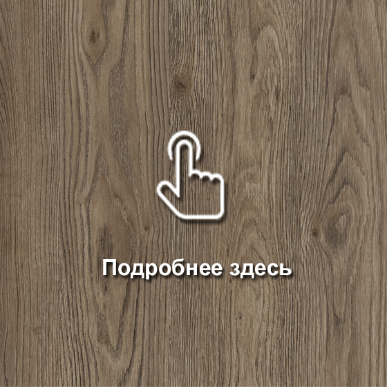 № 198 Дуб Сальва золотой