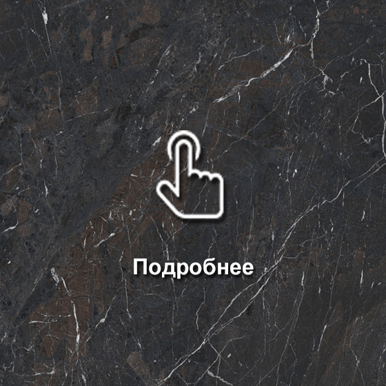 № 219СТ Витория