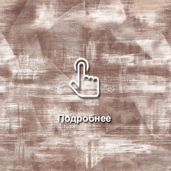 № 221 Этно