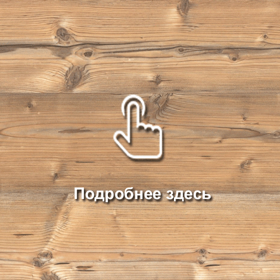№ 116 Ель золотистая